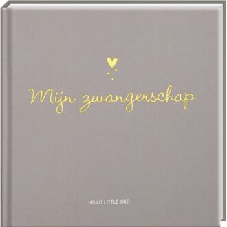Baby invulboek - Mijn zwangerschap.