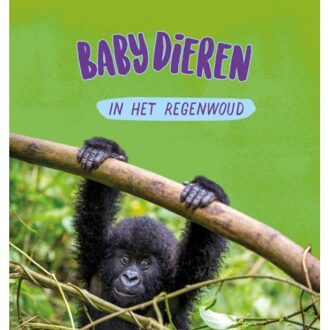 Babydieren In Het Regenwoud - Babydieren - Sarah Ridley
