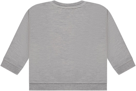 Babyface jongens sweater Grijs - 68