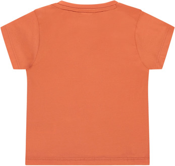 Babyface jongens t-shirt Oranje - 68