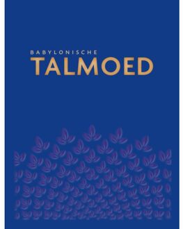 Babylonische Talmoed Sanhedrien 1 En 2 - Jacob de Leeuwe