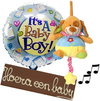 Babyplezier pakket voor jongen