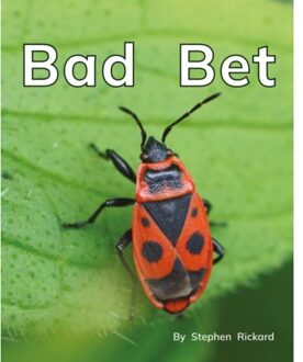 Bad Bet - Reading Stars Achieve Phonics