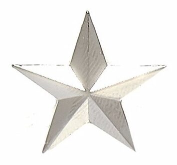 Badge brigade generaal 1 ster