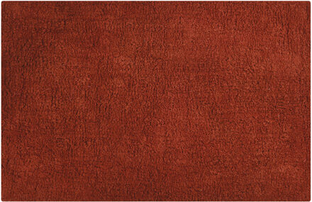 Badkamerkleedje/badmat voor de vloer - terracotta - 45 x 70 cm - Badmatjes Bruin
