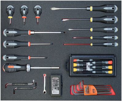 Bahco gevulde inlay ergo schroevendraaier | FF1A17