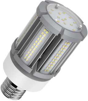 Bailey | LED Buislamp | Extra grote fitting E40  | 36W