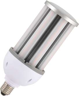Bailey | LED Buislamp | Grote fitting E27 | 36W Mat