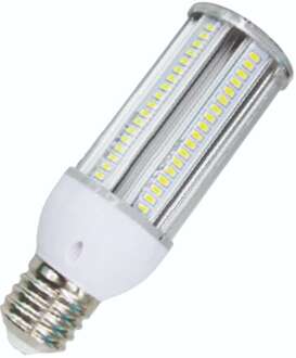 Bailey | LED lamp | Extra grote fitting E40 Fitting | Buislamp | 65mm | 20W Helder
