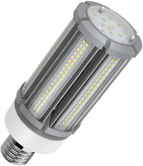 Bailey | LED lamp | Extra grote fitting E40 Fitting | Buislamp | 85mm | 54W