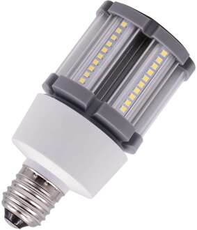 Bailey | LED lamp | Grote fitting E27 | Buislamp | 60mm | 12W Helder