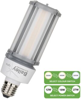 Bailey | LED lamp | Grote fitting E27 | Buislamp | 60mm | 27W Mat