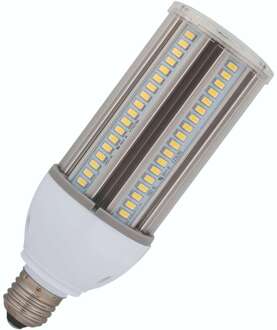 Bailey | LED lamp | Grote fitting E27 | Buislamp | 65mm | 20W Helder