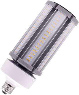 Bailey | LED lamp | Grote fitting E27 | Buislamp | 85mm | 45W Helder