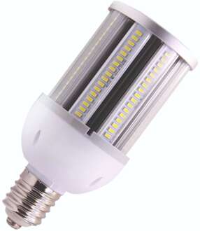 Bailey | LED lamp | Grote fitting E27 | Buislamp | 93mm | 27W Helder