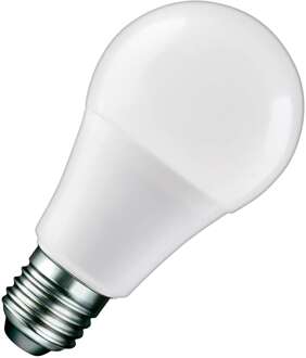 Bailey | LED lamp | Grote fitting E27 | Overig | 60mm | 9,5W Opaal