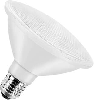 Bailey | LED lamp | Grote fitting E27 | Spot | 95mm | 13W Helder