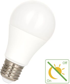 Bailey | LED lamp | Grote fitting E27 | Standaardlamp | 60mm | 9W Opaal