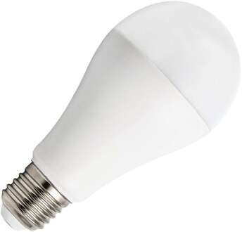 Bailey | LED lamp | Grote fitting E27 | Standaardlamp | 65mm | 20W Opaal