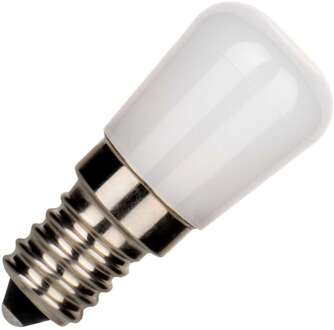 Bailey | LED lamp | Kleine fitting E14 | Buislamp | 23mm | 2W Mat