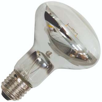 Bailey | LED Reflectorlamp | Grote fitting E27 | 4W Dimbaar Helder