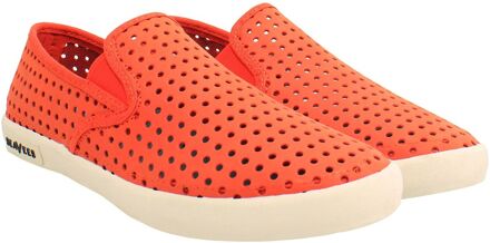 Baja Portal Dames Oranje Plimsolls - maat