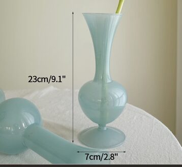 Bal Glazen Vaas Bubble Fles Transparant Hydrocultuur Nordic Glazen Bloemenvaas Tafel Decoratie Terrarium Regeling Container S6