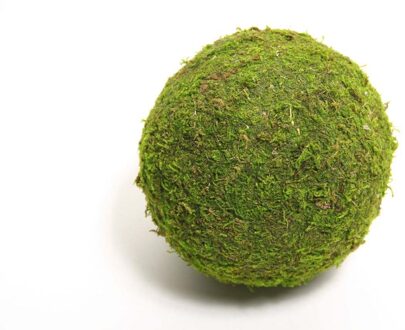 Bal Mos Asia Ø20cm Groen