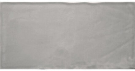 Baldocer Ceramica Atmosphere wandtegel - 12.5x25cm - 8.5mm - Rechthoek - Grijs Glans SW07312205-5 Pearl