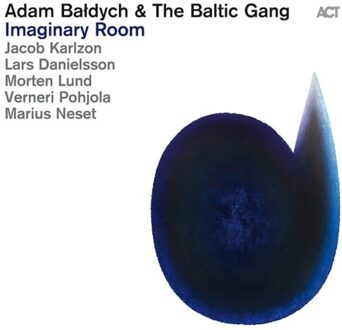Baldych Adam & The Baltic Gang - Imaginary Room