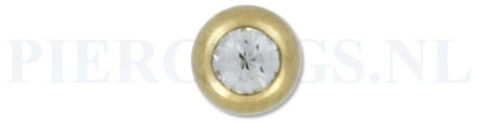Balletje 1.2 mm 4 mm goud kleur kristal
