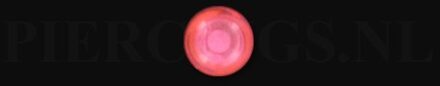 Balletje 1.6 mm acryl transparant roze 5 mm