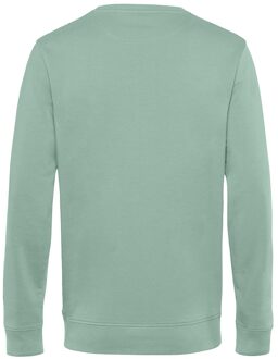 Ballin Est. 2013 - Heren Sweaters Basic Sweater - Groen - Maat S