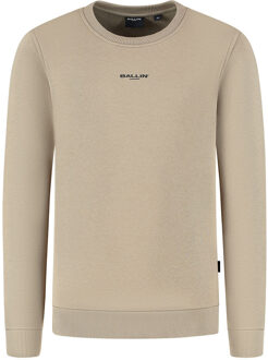 Ballin winter sweater jongens - taupe - animal take over - Maat 164