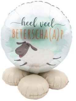 Ballon cadeau Heel veel beterschaap