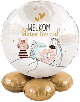 Ballon cadeau welkom kleine lieverd