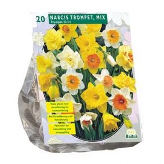 Baltus Narcis Trompet Mix narcissen bloembollen per 20 stuks