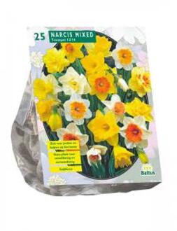 Baltus Narcissus Trompet Mix bloembollen per 25 stuks