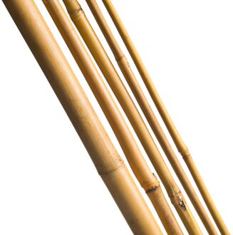 Bamboestok naturel H210cm dia. 16-18mm set a 3 stuks