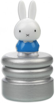 Bambolino Toys Nijntje Tandendoosje - Blauw