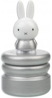 Bambolino Toys Nijntje Tandendoosje - Zilver