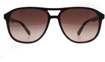 Banana Republic Aviator Heren Havana Bruin Gradient BR 4005/S - One Size