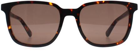 Banana Republic Rechthoek Heren Havana Bruin BR 4003/S