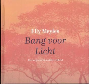Bang voor licht -  Elly Meyles (ISBN: 9789493288850)
