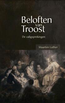 Banier BV, Uitgeverij De Beloften van troost - eBook Maarten Luther (9462784736)