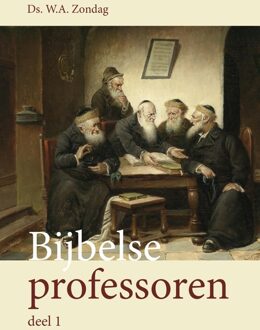 Banier BV, Uitgeverij De Bijbelse professoren / Deel 1 het Oude Testament - eBook W.A. Zondag (9402903429)