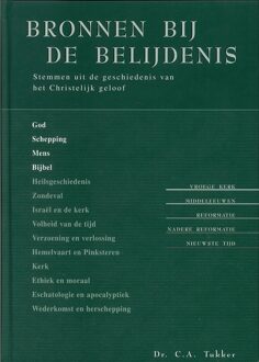 Banier BV, Uitgeverij De Bronnen bij de belijdenis - 1 - C.A Tukker - ebook