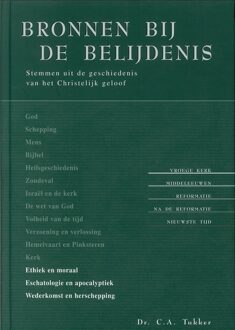 Banier BV, Uitgeverij De Bronnen bij de Belijdenis - 4 - C.A Tukker - ebook
