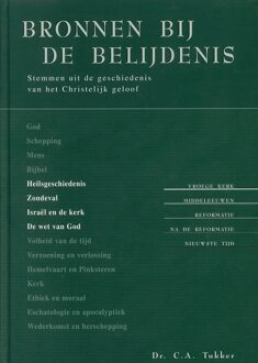 Banier BV, Uitgeverij De Bronnen bij de belijdenis - deel 2 - C.A Tukker - ebook
