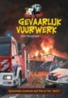 Banier BV, Uitgeverij De Gevaarlijk vuurwerk - eBook Adri Burghout (9462785015)